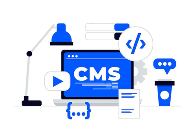 Wordpress Webstore Training, Course & Certification